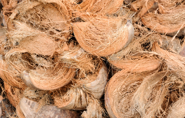 Sourcing Images (700x450) (2)